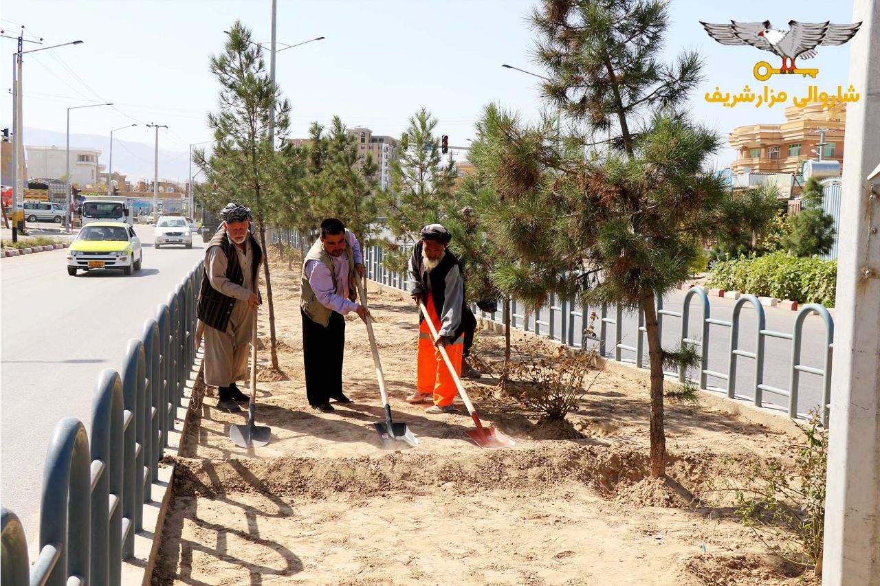 A snapshot report of Mazar-e-Sharif Municipality leadership's efforts to green the city