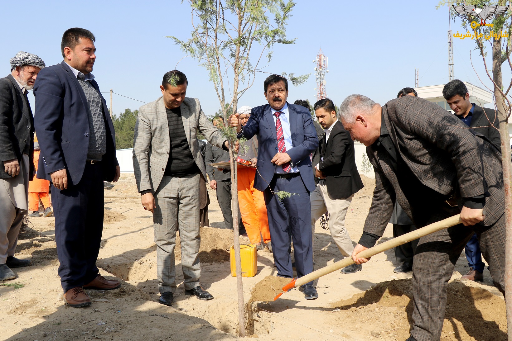 گزارش تصویری از آغاز روند سرسبزی و نهال شانی از سوی شاروالی مزارشریف