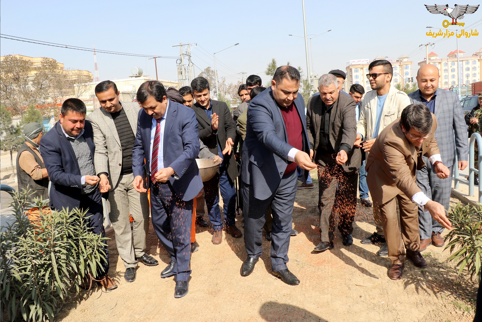 گزارش تصویری از آغاز روند سرسبزی و نهال شانی از سوی شاروالی مزارشریف