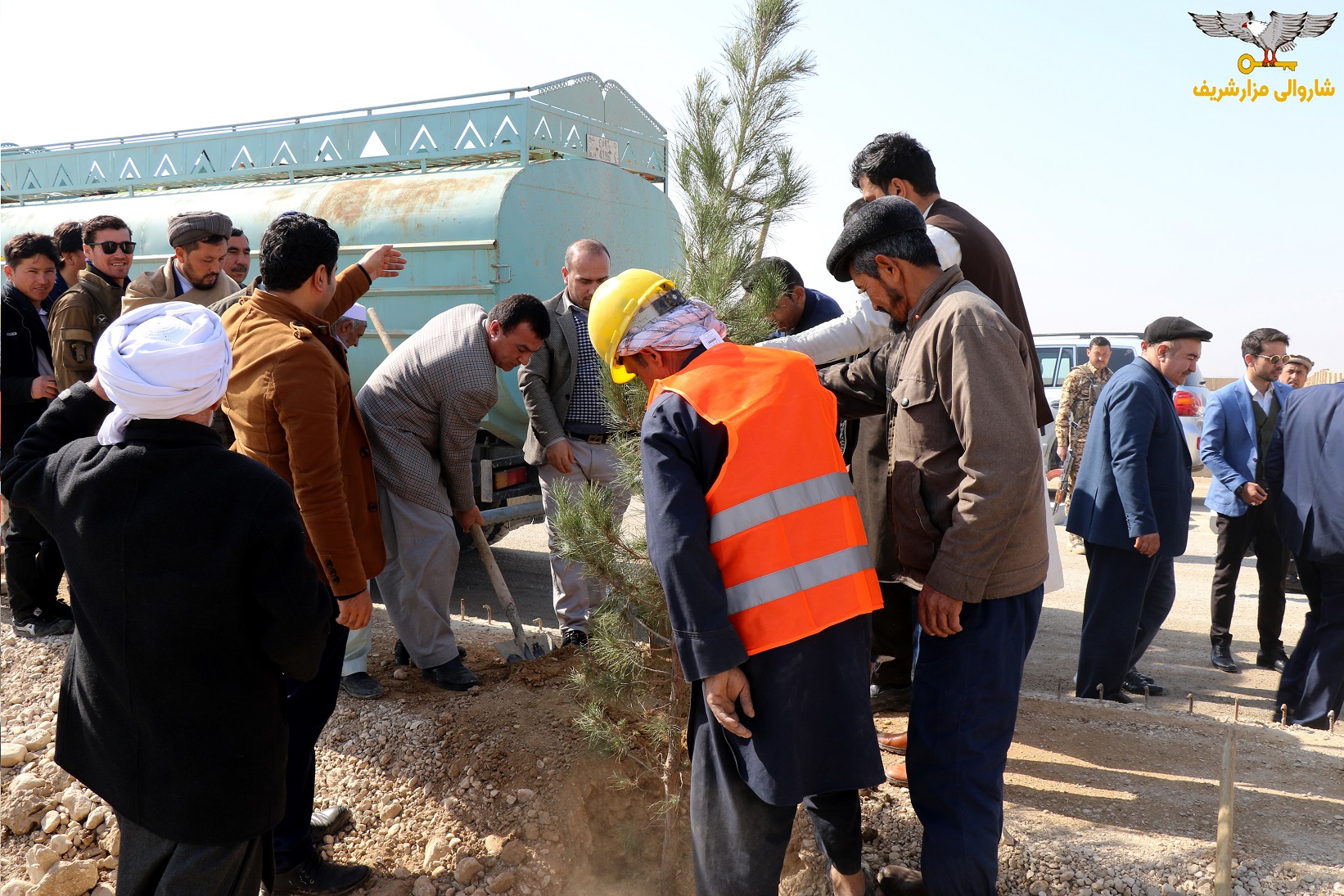 گزارش تصویری از آغاز روند سرسبزی و نهال شانی از سوی شاروالی مزارشریف