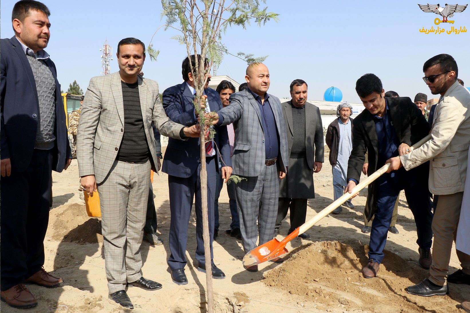 گزارش تصویری از آغاز روند سرسبزی و نهال شانی از سوی شاروالی مزارشریف