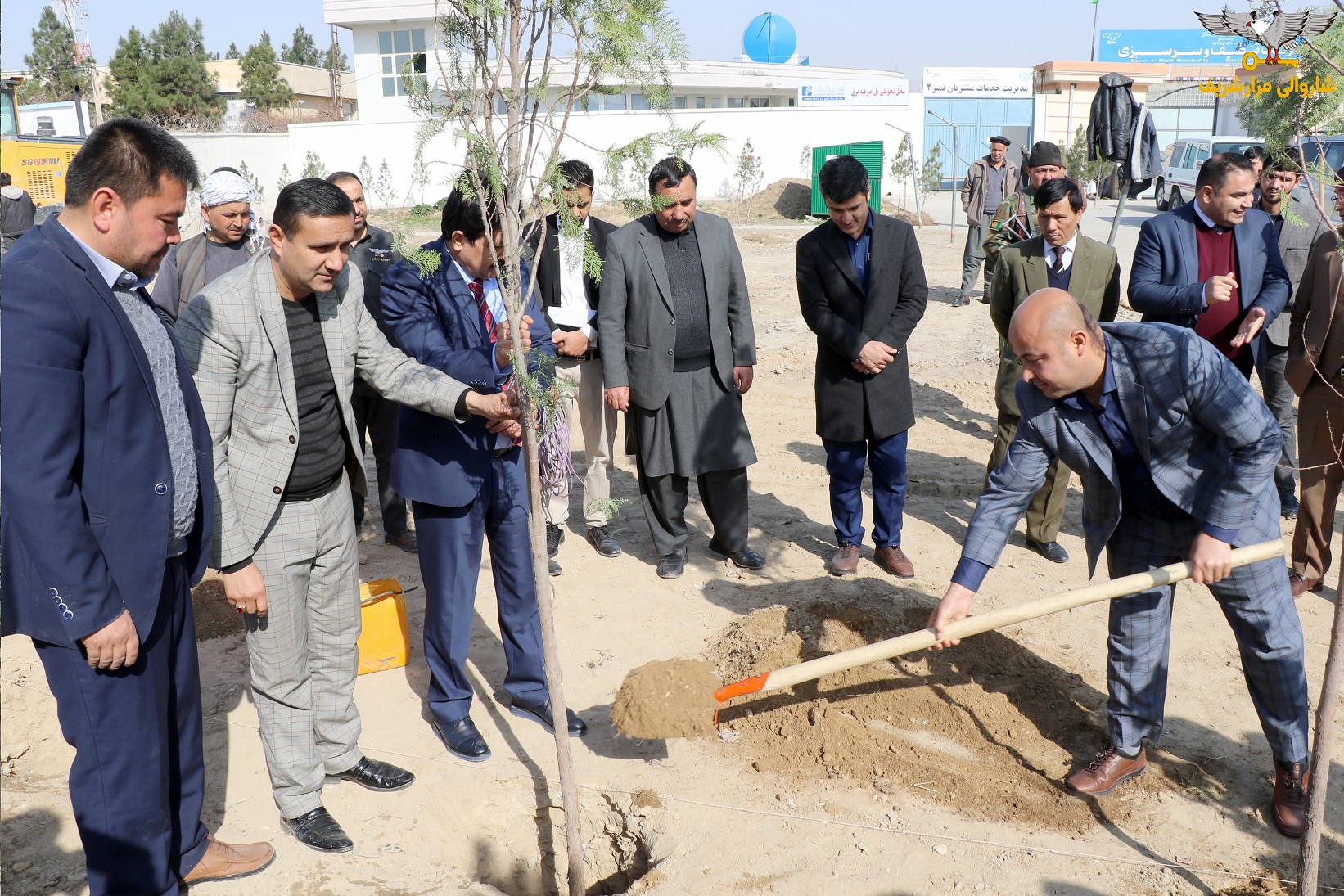 گزارش تصویری از آغاز روند سرسبزی و نهال شانی از سوی شاروالی مزارشریف