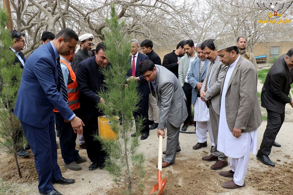  Launching of a seedling campaign on the occasion of National Seedling Day and Supporting Peace Process