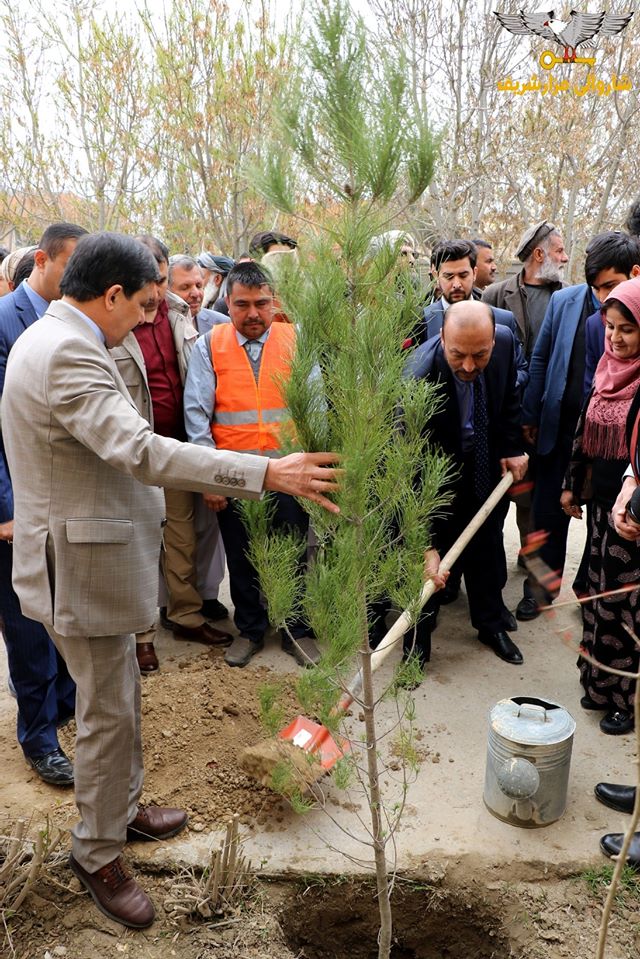  Launching of a seedling campaign on the occasion of National Seedling Day and Supporting Peace Process