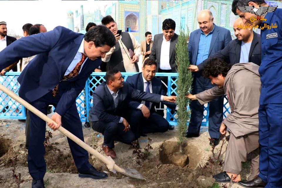 Starting of plant seedling process in Rouza Mubarak, Mazar-e-Sharif City